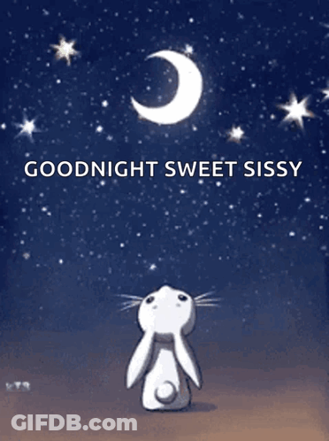Rabbit Looking Up At Moon Goodnight Sweet Sissy GIF