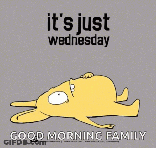 Rabbit Lying Down It's Wednesday Good Morning Family GIF