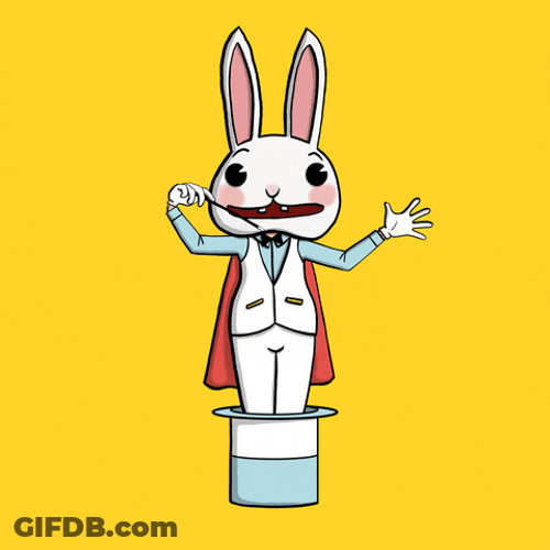 Rabbit Magician Disappear GIF