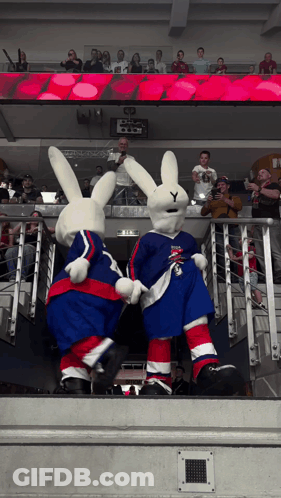 Rabbit Mascots On Hockey Game Staircase GIF