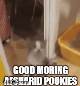 Rabbit Next To Yellow Bucket Saying Good Morning GIF