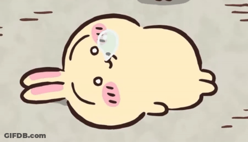 Rabbit Saying His Person 41 Km Near Your House GIF