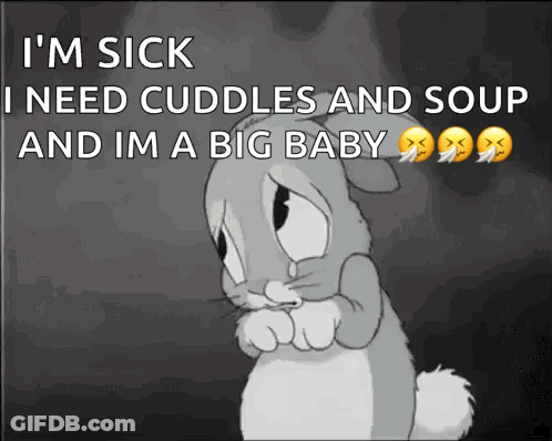 Rabbit Saying Im Sick Need Cuddles Soup GIF