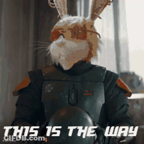 Rabbit Saying This Is The Way GIF