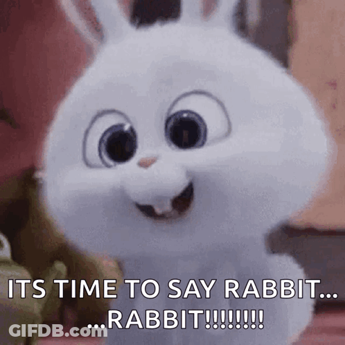 Rabbit Saying Time To Say Rabbit GIF