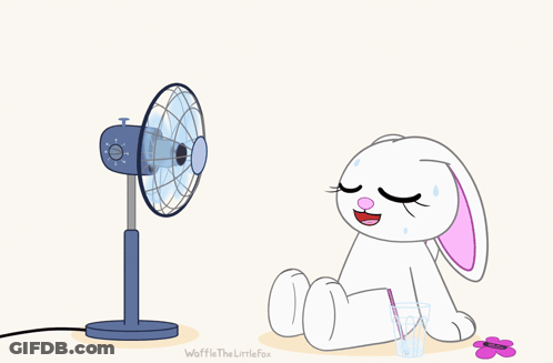 Rabbit Sitting At Fan Waffle The Little Fox GIF