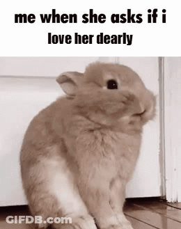 Rabbit Sitting In Front Of Door Saying Love GIF