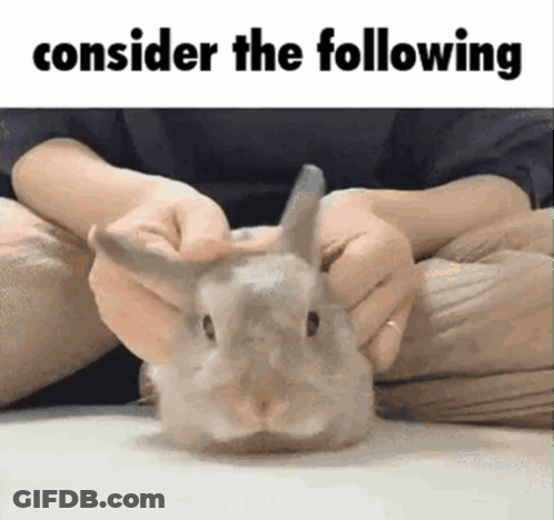 Rabbit Sitting On Floor With Toilet Paper GIF