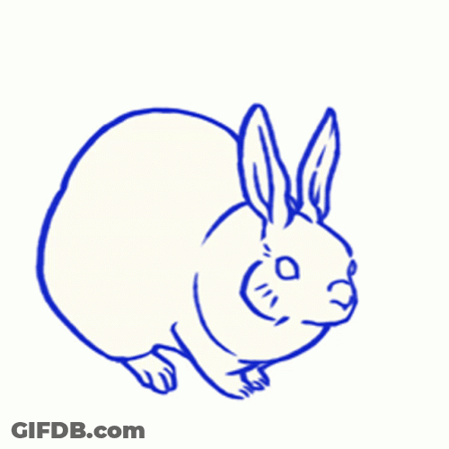 Rabbit Sketch Tuesday GIF