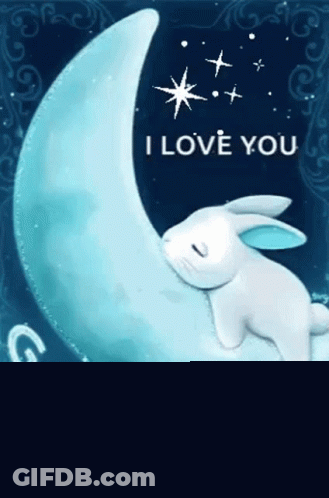 Rabbit Sleeping On Crescent Moon I Love You GIF