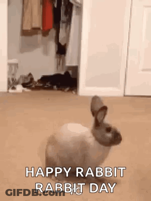 Rabbit Standing In Front Of Closet GIF