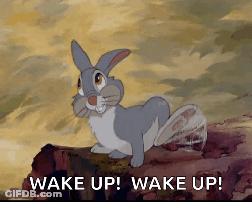 Rabbit Standing On Log Wake Up GIF
