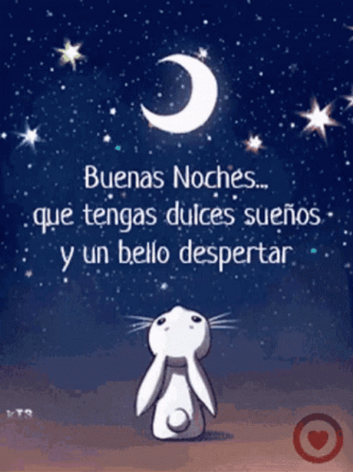 Rabbit Watching The Moon Linda Noche Buenas Noches GIF