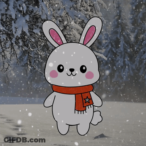 Rabbit Wearing Star Scarf In Snow GIF