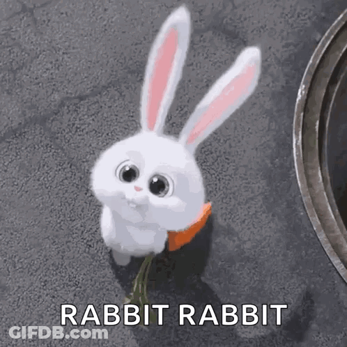 Rabbit With Carrot In Mouth GIF