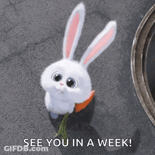 Rabbit With Carrot Says See You In A Week GIF