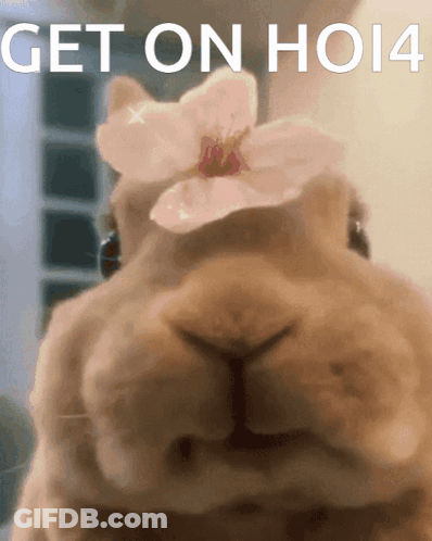 Rabbit With Flower Get On Ho14 GIF