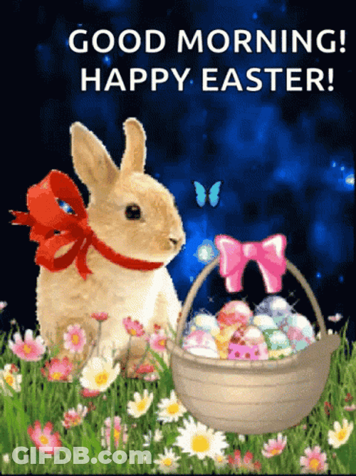 Rabbit With Gift Good Morning Happy Easter GIF