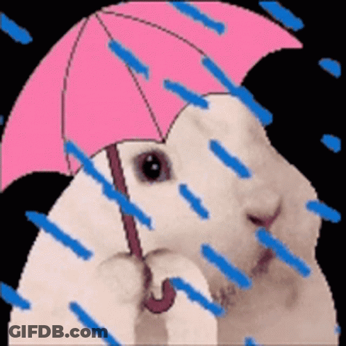 Rabbit With Pink Umbrella In Rain GIF