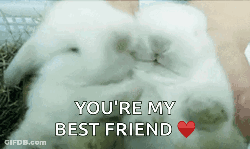 Rabbit With Words You're My Best Friend Above It GIF