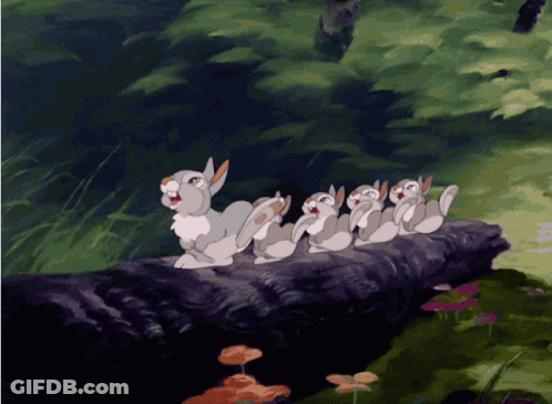 Rabbits Sitting On Log In Woods GIF