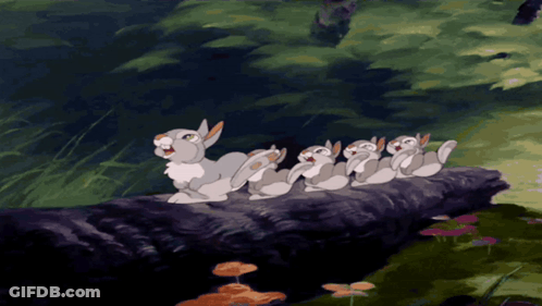Rabbits Sitting On Rock In Woods GIF