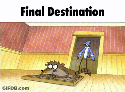 Raccoon And Bird Final Destination GIF