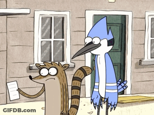 Raccoon And Blue Bird In Front Of House GIF