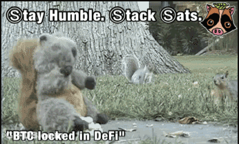 Raccoon And Squirrel Stay Humble Stack Sats GIF