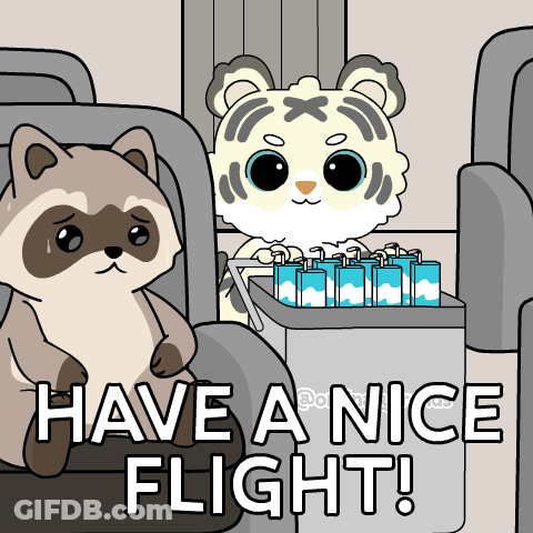 Raccoon And Tiger Have A Nice Flight GIF