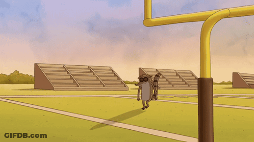 Raccoon Dancing In Field GIF