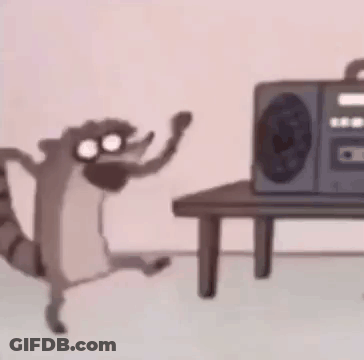 Raccoon Dancing In Front Of Radio GIF