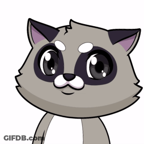 Raccoon Drawing With Big Eyes And White Nose GIF