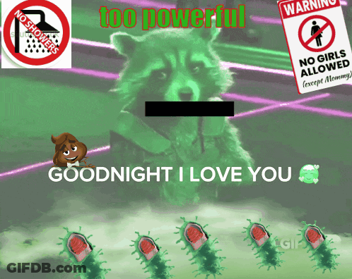 Raccoon Goodnight I Love You GIF