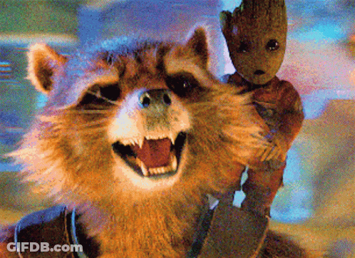 Raccoon Holding Baby Groot Smiling GIF