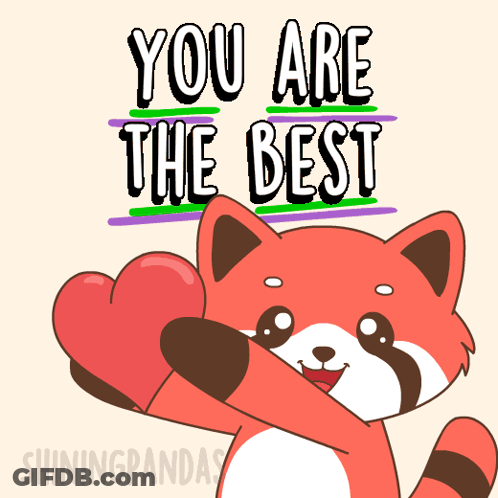 Raccoon Holding Heart Saying You Are The Best GIF