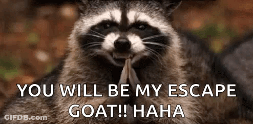 Raccoon Holding Paper Saying You Will Be My Escape Goat! GIF