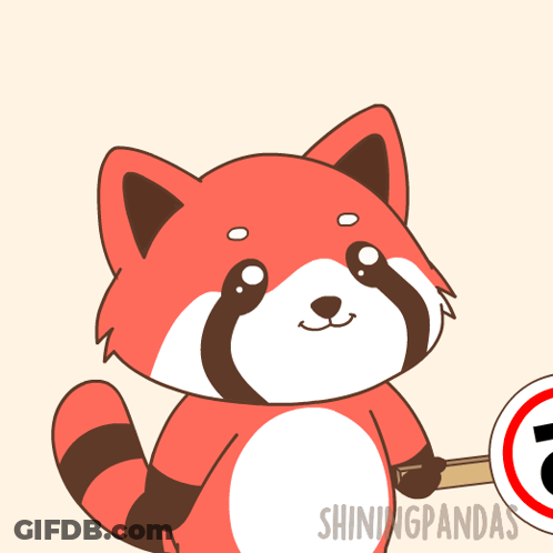 Raccoon Holding Perfect 10 Sign GIF