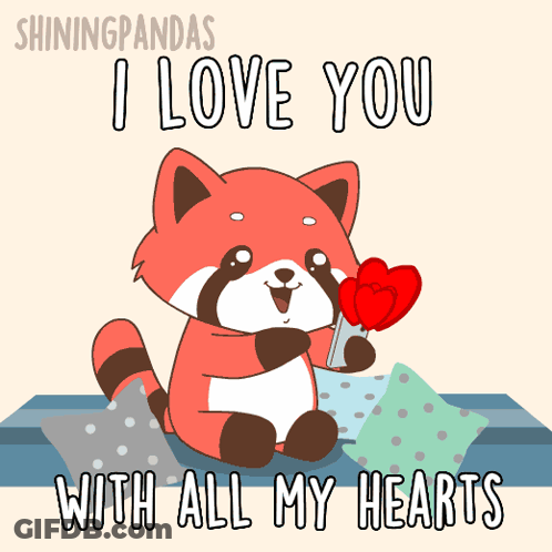 Raccoon Holding Red Hearts I Love You With All My Hearts GIF