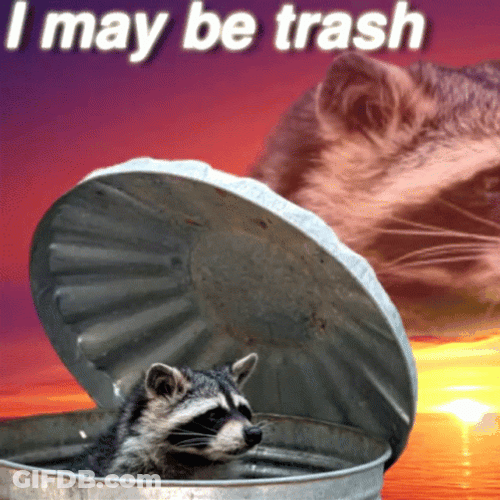 Raccoon I Maybe Trash GIF