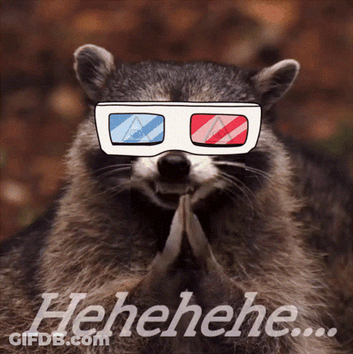 Raccoon In 3D Glasses Saying Henehene GIF