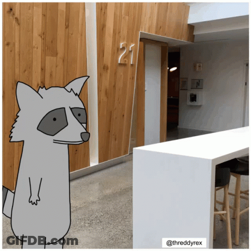 Raccoon In Front Of Wooden Wall With Number 21 GIF