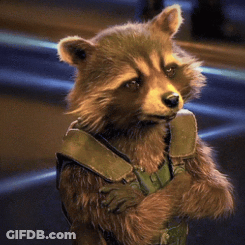 Raccoon In Green Vest With Arms Crossed GIF