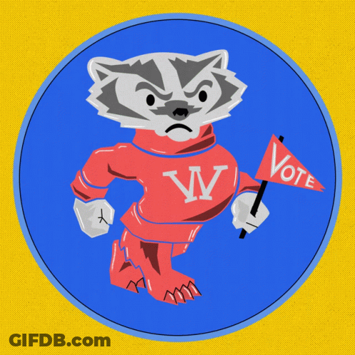 Raccoon In Red Shirt With Letter VV GIF