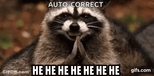 Raccoon Laughing Holding Paper GIF