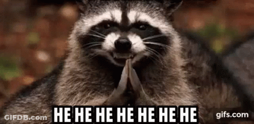 Raccoon Laughing Holding Paper GIF