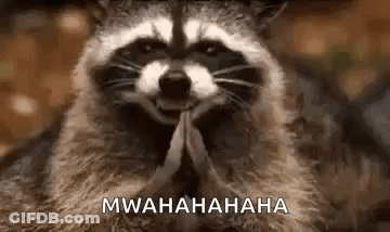 Raccoon Making Funny Face GIF