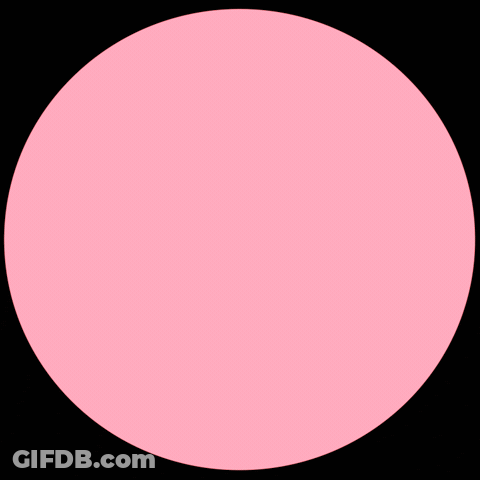 Raccoon Peeking From Behind Pink Circle GIF