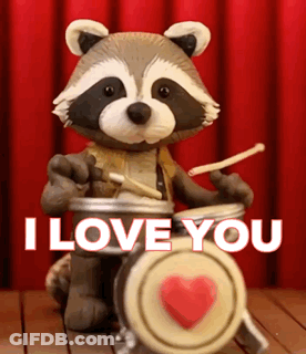 Raccoon Playing Drums I Love You GIF