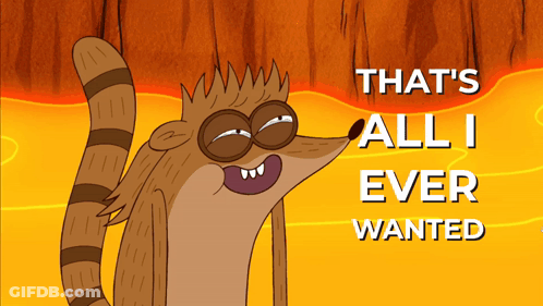 Raccoon Saying That All I Ever Wanted GIF